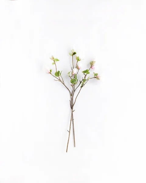 Product Image 5 for Esther Japanese Magnolia Blossoms - 37", Bundle of 2 from Napa Home And Garden