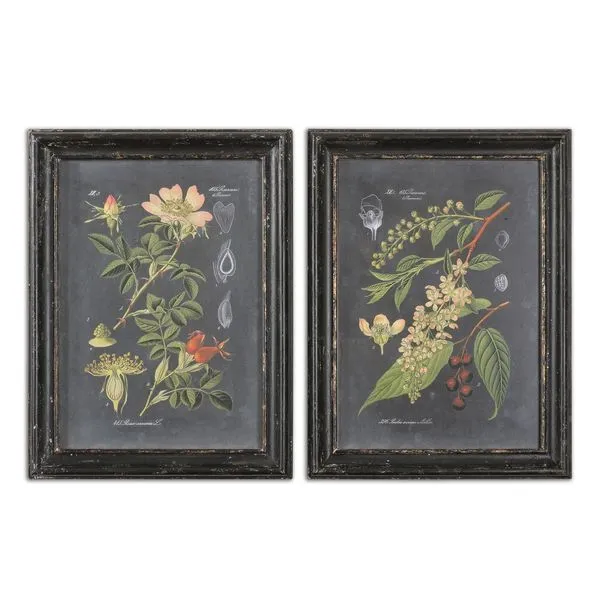 Product Image 1 for Uttermost Midnight Botanicals Wall Art S/2 from Uttermost