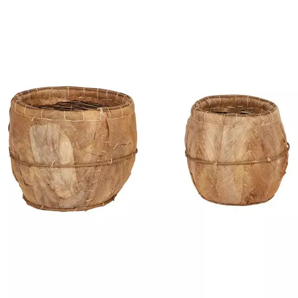 Product Image 4 for Leo Coca Leaf Planters (Set Of 2 Sizes) from Creative Co-Op