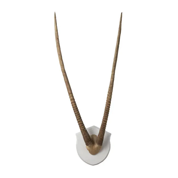 Product Image 1 for Wall Mounted Resin Gazelle Horns With Ecru Plaque from Elk Home