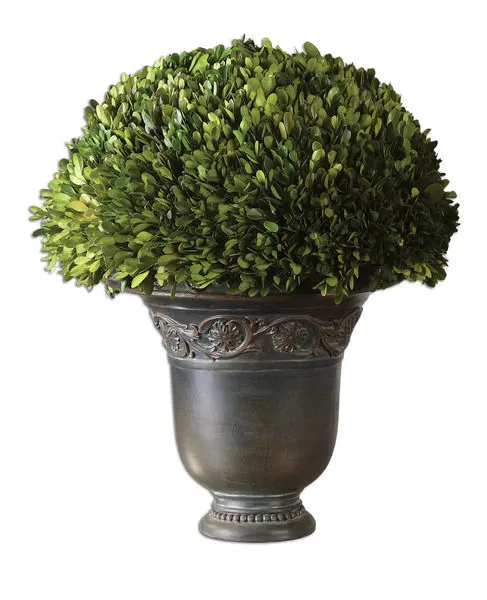 Product Image 2 for Uttermost Globe Preserved Boxwood from Uttermost