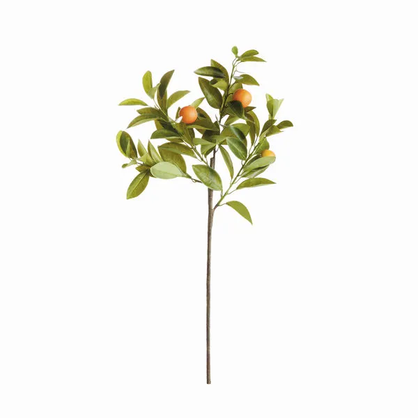 Product Image 1 for Faux Orange Stems , Set Of 4 from Napa Home And Garden