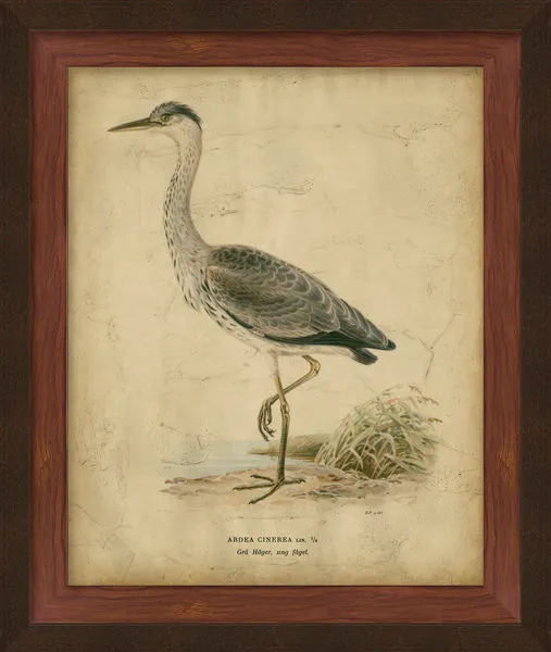 Product Image 1 for Embellished Vintage Heron Ii from Surya