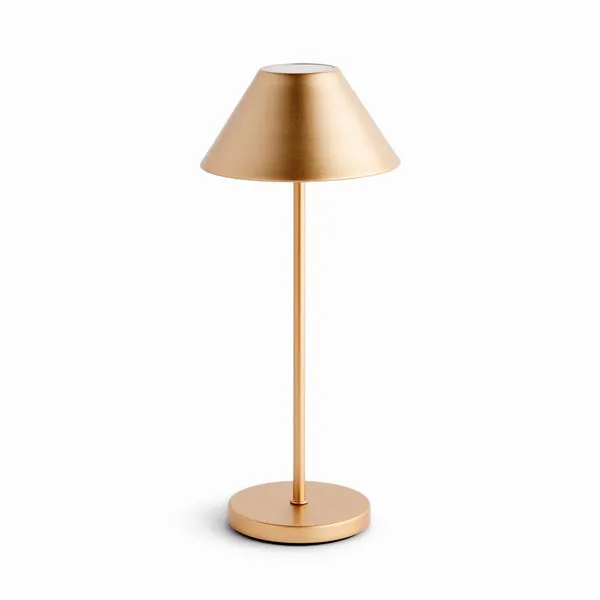 Product Image 1 for Alluna Cordless Led Lamp from Napa Home And Garden
