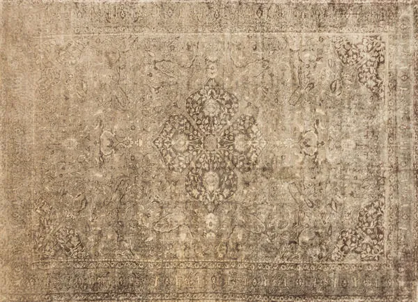 Product Image 1 for Nyla Sand / Dark Brown Rug from Loloi