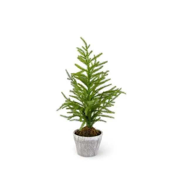 Product Image 1 for Aurora 20" Norfolk Pine Tree in Gray Pot from K&K Interiors