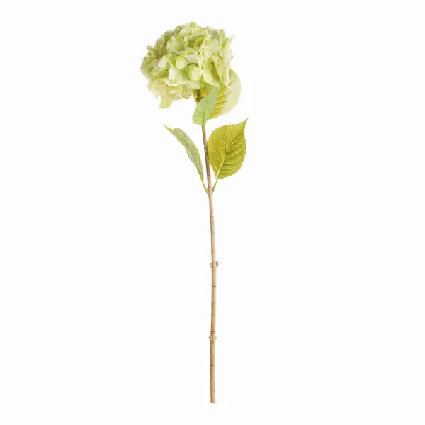 Product Image 1 for Mophead Hydrangea Stems , Set Of 4 from Napa Home And Garden