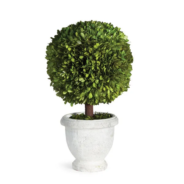 Product Image 1 for Boxwood Single 11" Ball Topiary In Pot from Napa Home And Garden