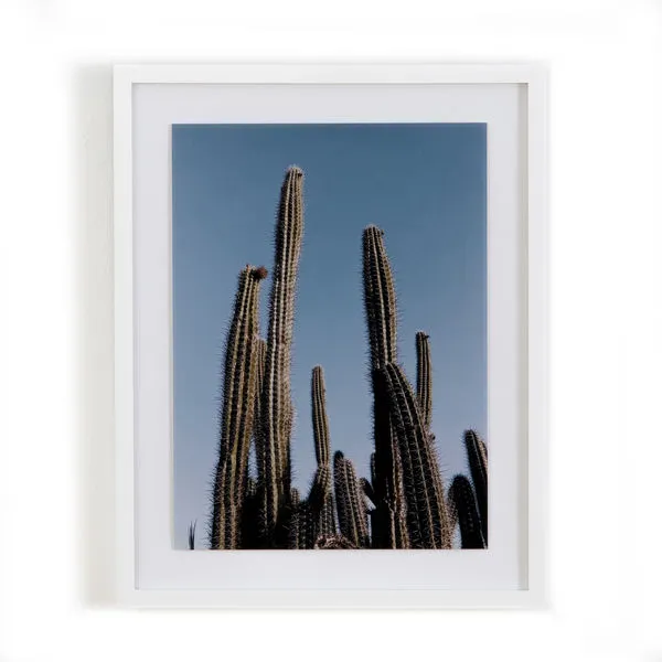 Product Image 2 for Cactus Iii By Amy Humphries from Four Hands