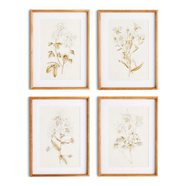 Product Image 1 for Fleur De Blanc Prints, Set Of 4 from Napa Home And Garden