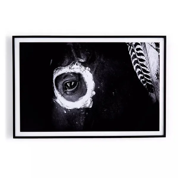 Product Image 1 for War Horse, Close Up from Four Hands