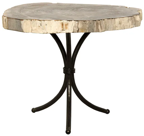 Product Image 1 for Accent Table With Petrified Top from Noir