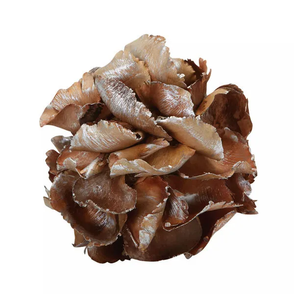 Product Image 1 for Silver Gilt Palm Petal Ball from Elk Home