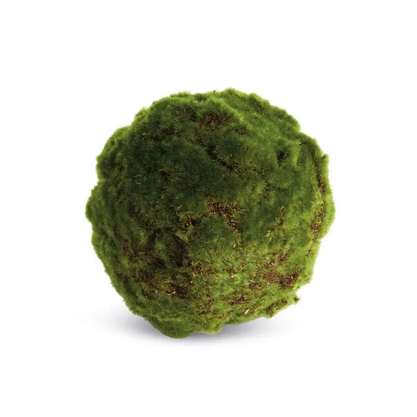 Product Image 1 for Moss Orbs, Set of 3 from Napa Home And Garden