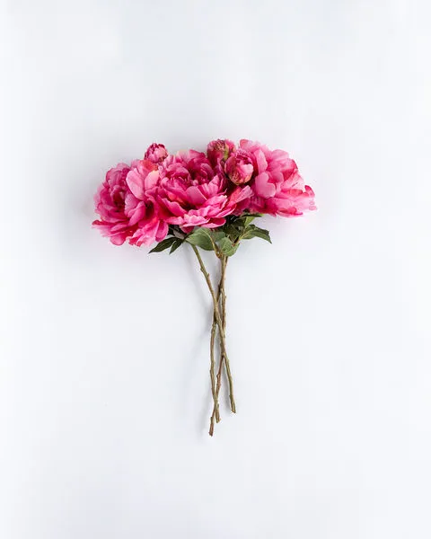 Product Image 2 for Fuchsia Peony Stem, Set of 3 from SN Warehouse