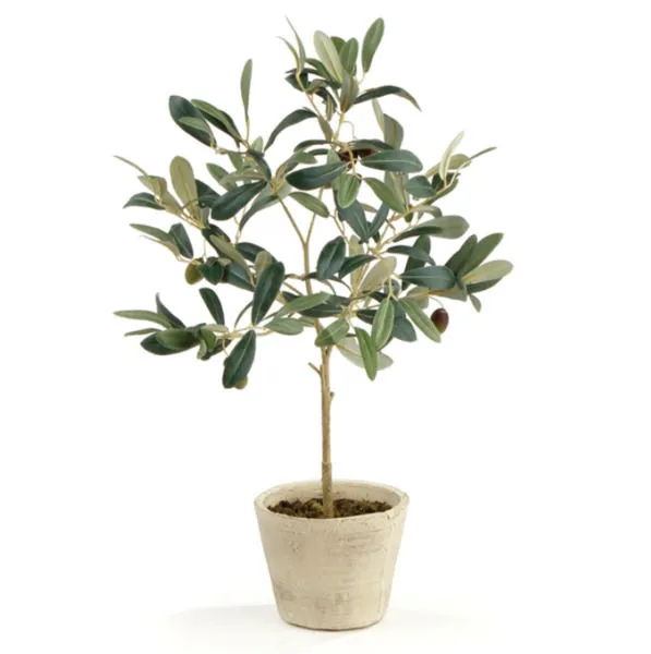 Product Image 2 for Olive Tree With Fruit In Pot 19.5" (Set of 2) from Napa Home And Garden