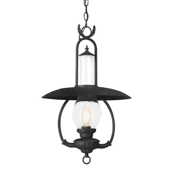 Product Image 1 for La Grange 1 Light Hanging Lantern from Troy Lighting