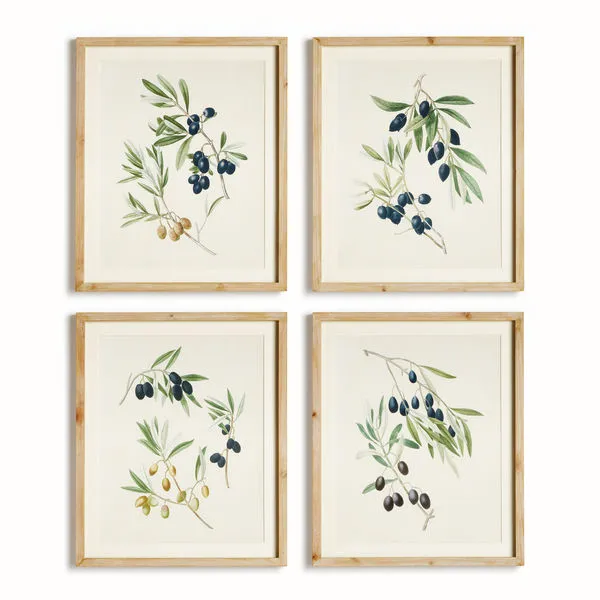 Product Image 1 for Olive Stems Study, Set Of 4 from Napa Home And Garden