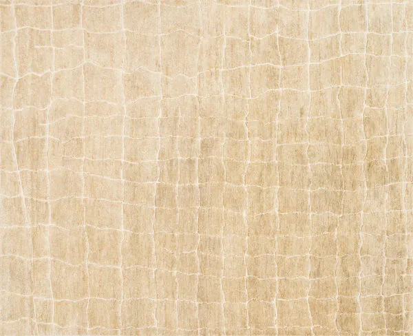 Product Image 2 for Sahara Birch Rug from Loloi