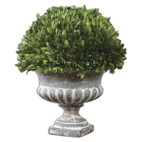 Product Image 1 for Uttermost Preserved Boxwood Garden Urn from Uttermost