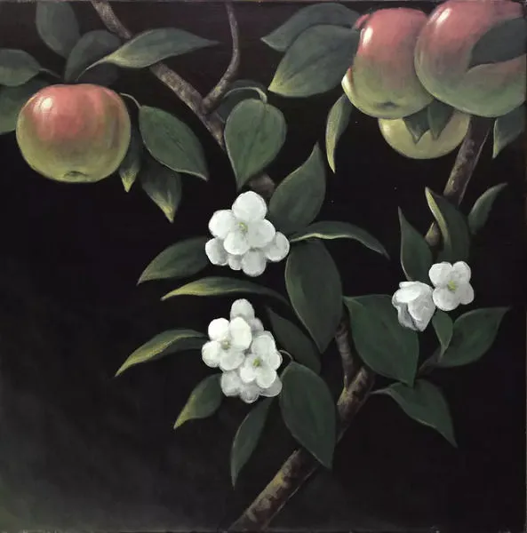Painting of green apple tree branch with white flowers on a black background, unframed 49x49 inches