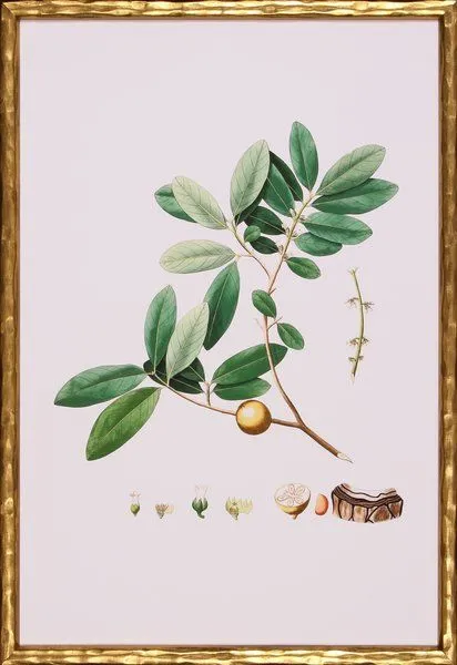 Product Image 1 for Green For Spring II from Shadow Catchers