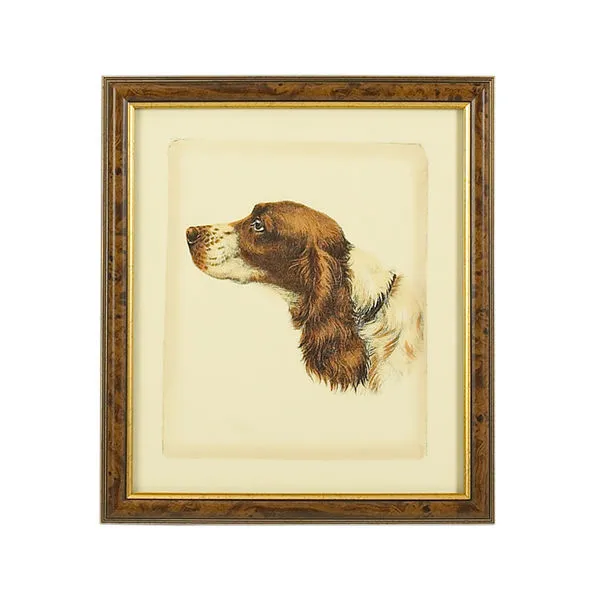 Product Image 1 for Danchin Cocker Spaniel Artwork from Chelsea House