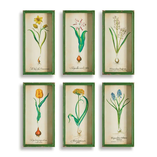 Product Image 1 for Bulb Study Shadow Box Prints, Set Of 6 from Napa Home And Garden