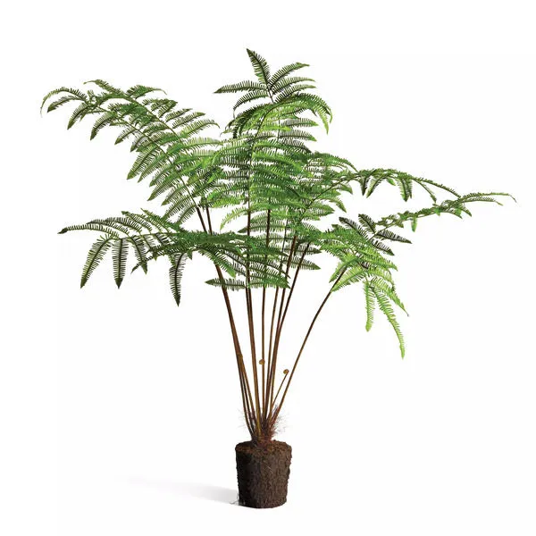Product Image 2 for Faux Forest Fern Drop-In, 60" from Napa Home And Garden