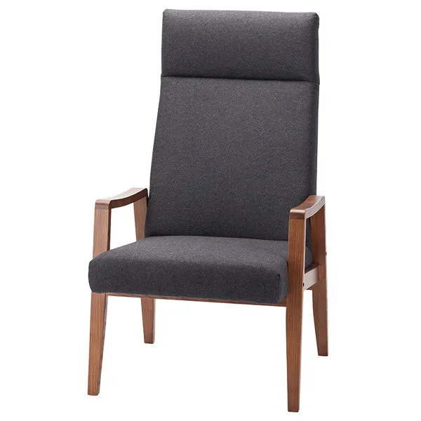 Product Image 1 for Jonah Occasional Chair from Nuevo