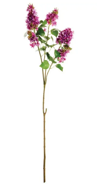 Product Image 1 for Garden Lilac Branch from Napa Home And Garden