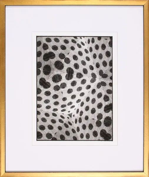 Product Image 1 for Black And White Spots I Art from Shadow Catchers