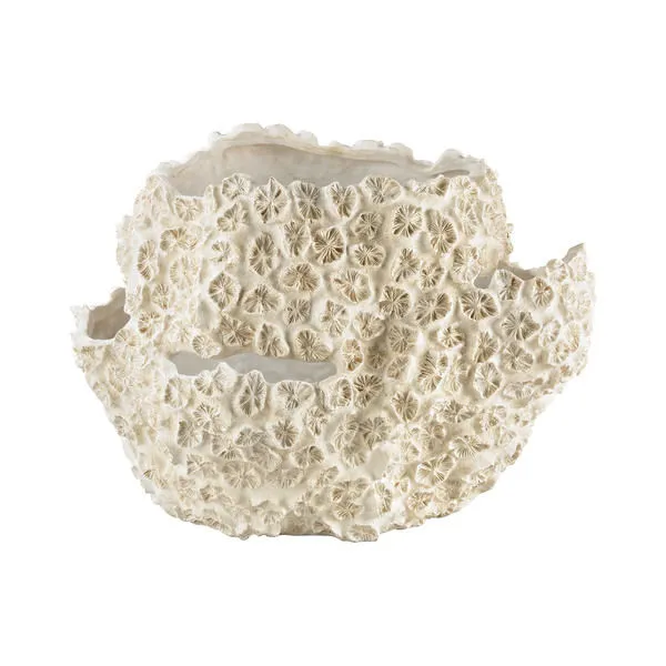 Product Image 1 for Cretaceous Clam Shell from Elk Home