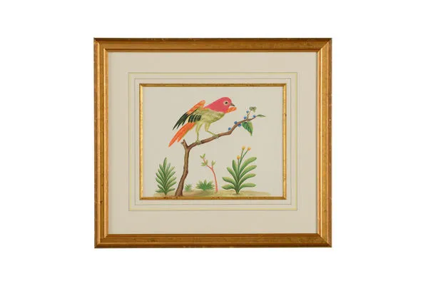 Product Image 1 for Multicolor Bird from Chelsea House