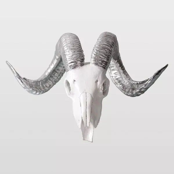 Product Image 1 for Aries from Scout & Nimble