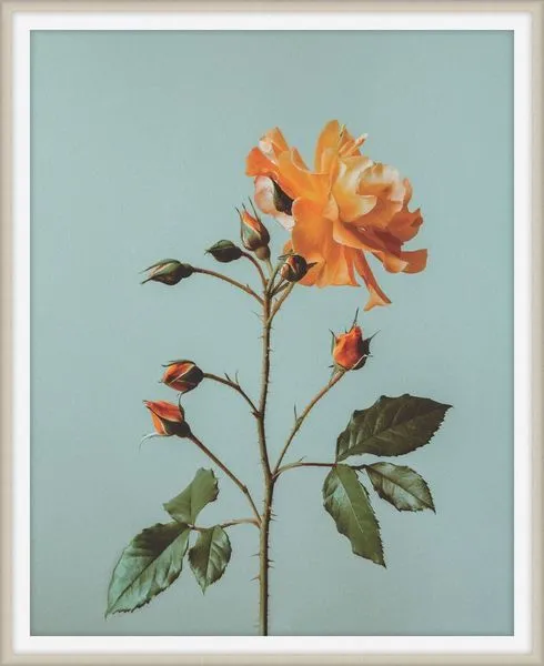 Product Image 1 for Flowers of Adornment 10 from Level 57 Art Studio