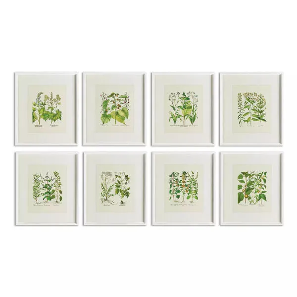 Product Image 1 for Wildflower Prints, Set Of 8 from Napa Home And Garden
