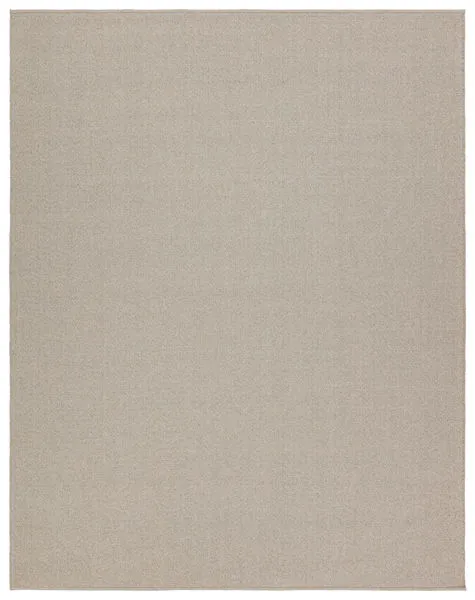 3 by 8 foot handwoven taupe indoor/outdoor rug with beige border and flat weave texture