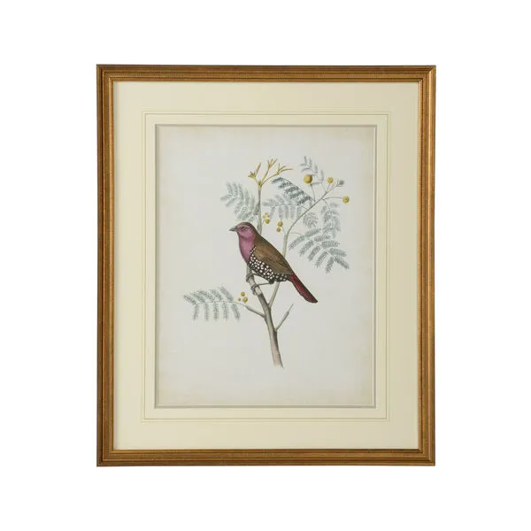 Product Image 1 for Delicate Birds II Artwork from Chelsea House