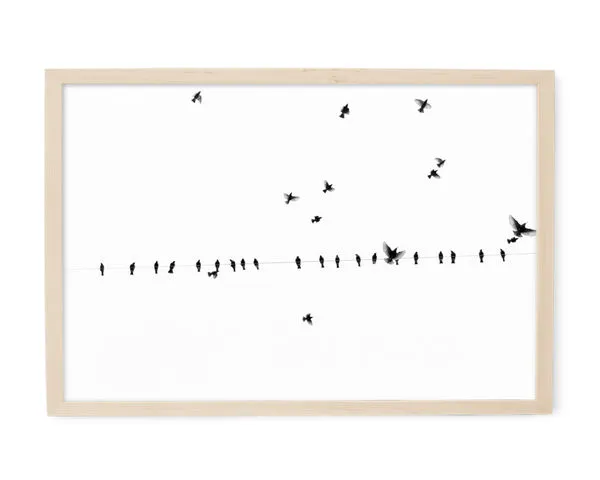 Product Image 1 for Fly By II Art By Ryan Garvin from Ryan Garvin