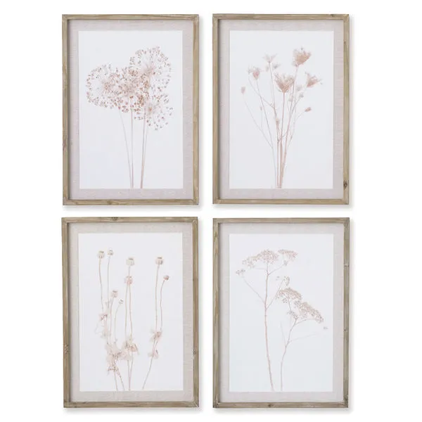 Product Image 1 for Stylized Botanical Wall Art Framed Prints, Set of 4 from Napa Home And Garden