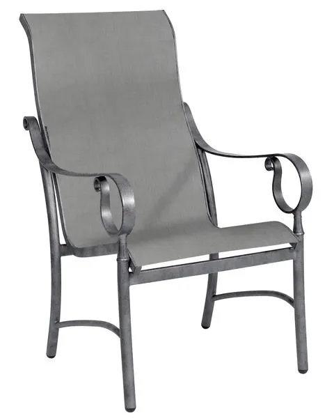 Product Image 1 for Ridgecrest Sling High Back Arm Chair from Woodard