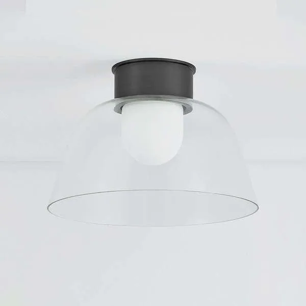 Lakeside Flush Mount ceiling light installed on a white ceiling viewed slightly from below