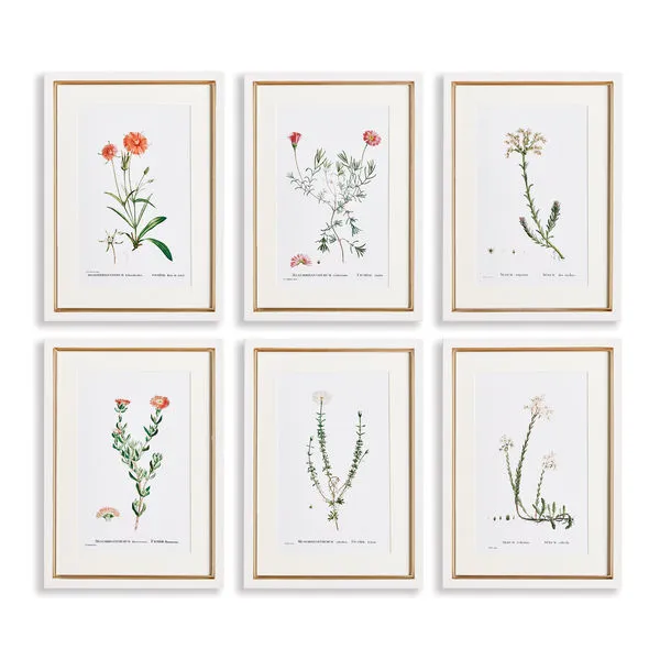 Product Image 1 for Flower Studies In Shades Of Blush, Set Of 6 from Napa Home And Garden