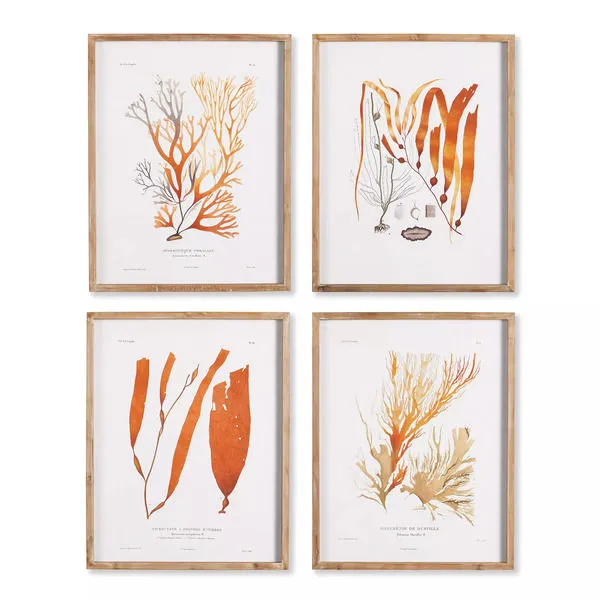 Product Image 1 for Coral Reef Study, Set Of 4 from Napa Home And Garden