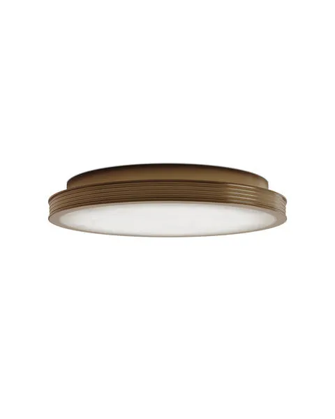 Product Image 1 for Aydan Flush Mount from Currey & Company