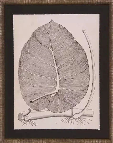 Product Image 1 for Lively Leaves II Art from Shadow Catchers