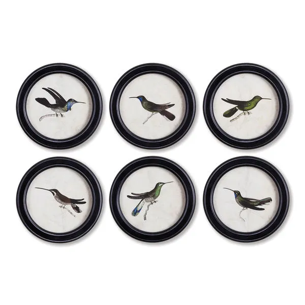 Product Image 1 for Hummingbird Round Petite Prints, Set Of 6 from Napa Home And Garden