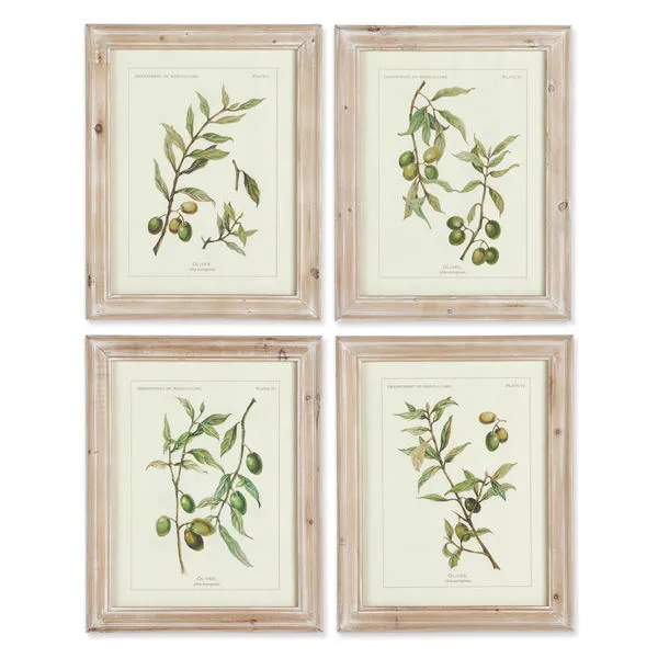 Product Image 1 for Framed Olive Leaf Botanical Prints, Set Of 4 from Napa Home And Garden