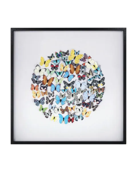 Product Image 1 for Chroma Wall Art from Currey & Company